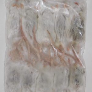 Whole Mouse - Large