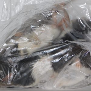 Whole Rat - Large