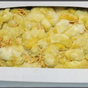 Day Old Chicks - 250