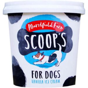 Scoops Vanilla Ice Cream