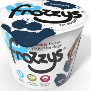 Frozzy Blueberry Yoghurt