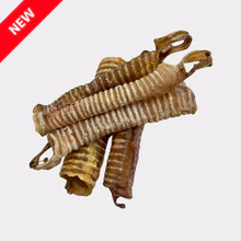 Trachea