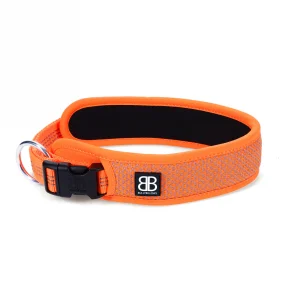 Bully Billows Active Light Slip & Clip Collar